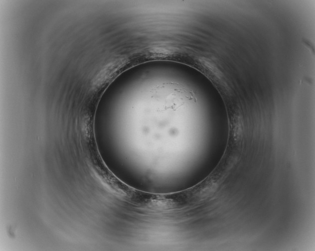 X0000103240455200808281445