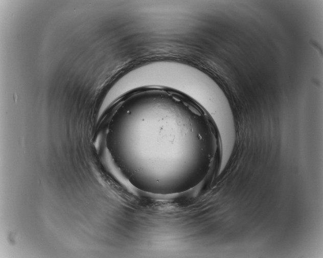 X0000103240456200808281445