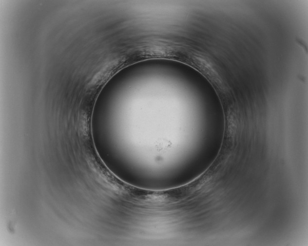 X0000103240457200808281445