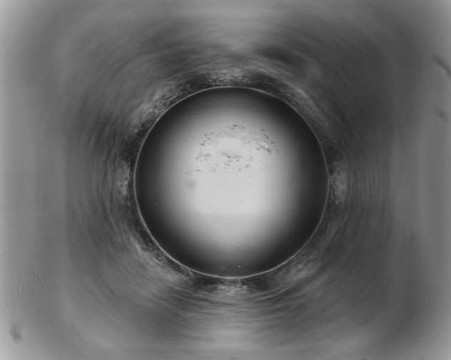 X0000103240458200808281445