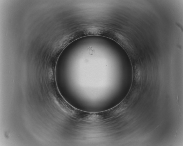 X0000103240459200808281445