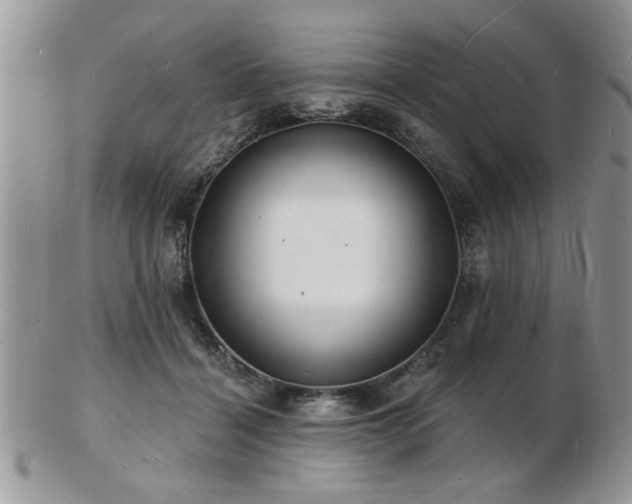 X0000103240460200808281445