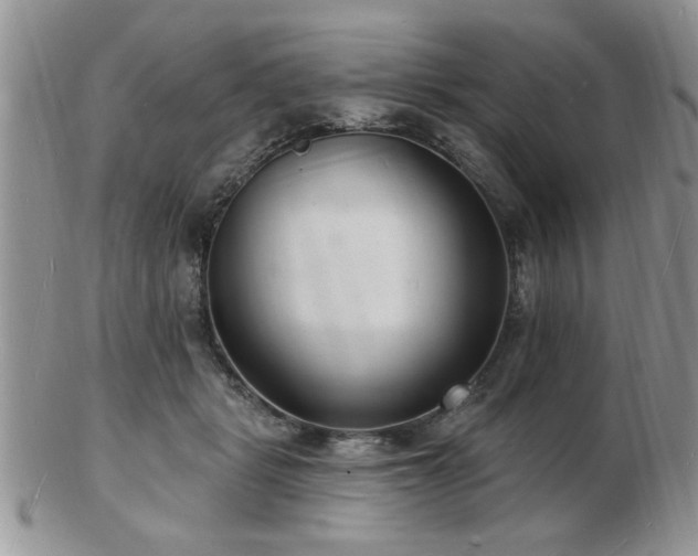 X0000103240461200808281445