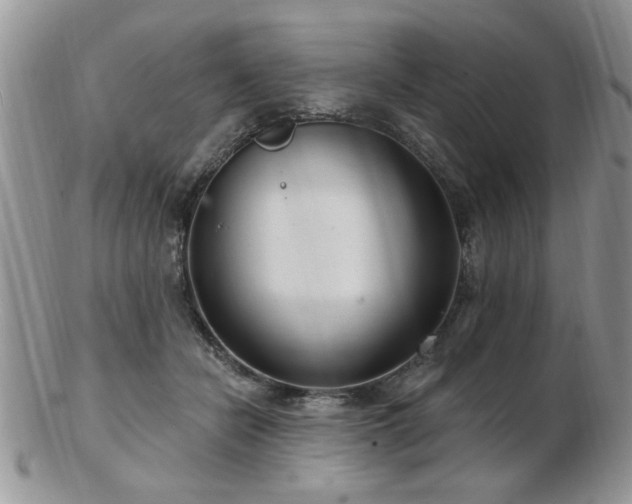 X0000103240462200808281445
