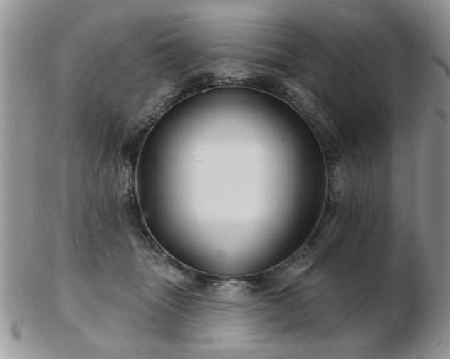X0000103240463200808281445