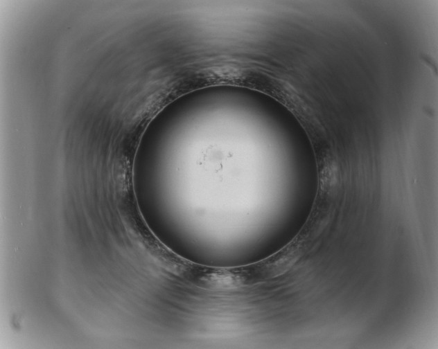 X0000103240464200808281445