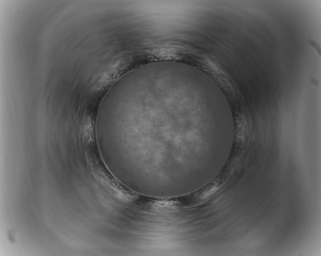 X0000103240465200808281445