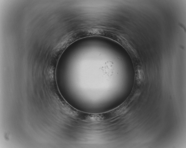 X0000103240466200808281445