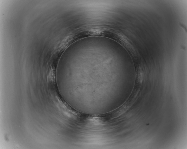 X0000103240467200808281445