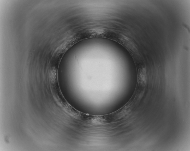 X0000103240468200808281445
