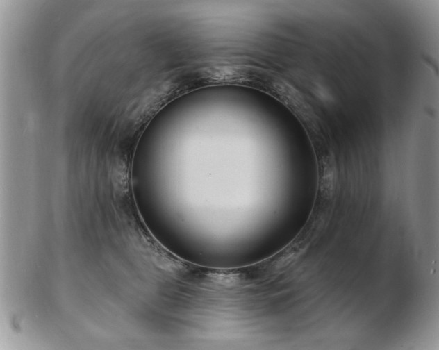 X0000103240469200808281445