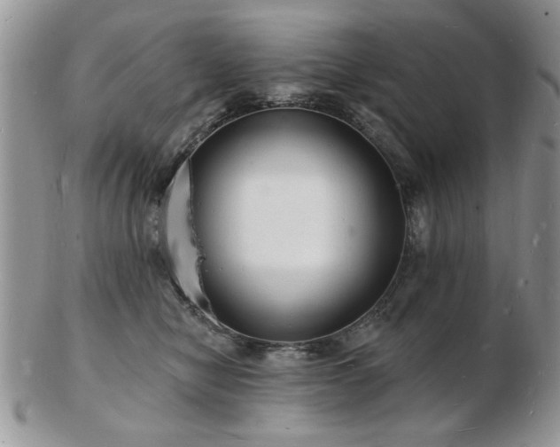 X0000103240470200808281445