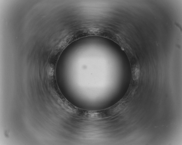 X0000103240472200808281445