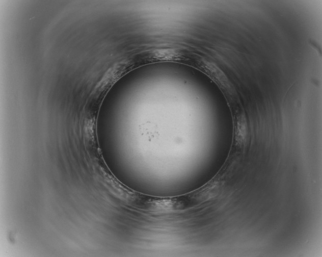 X0000103240473200808281445