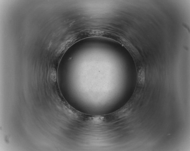 X0000103240474200808281445
