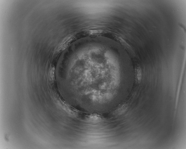 X0000103240475200808281445