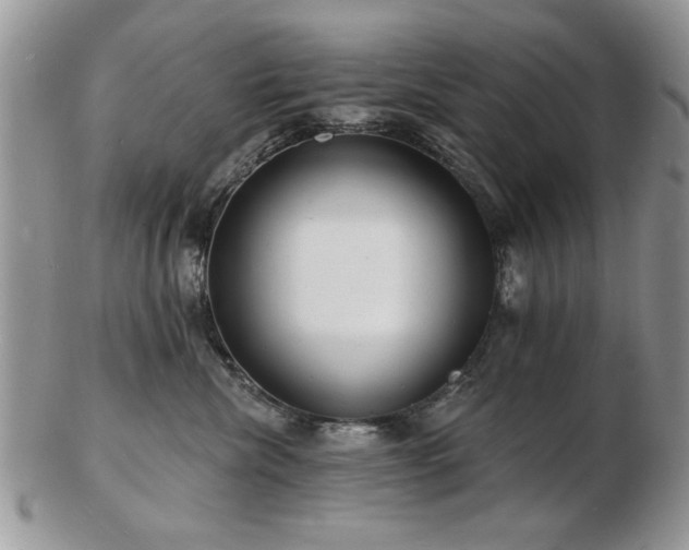 X0000103240476200808281445