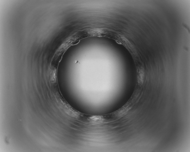 X0000103240477200808281445