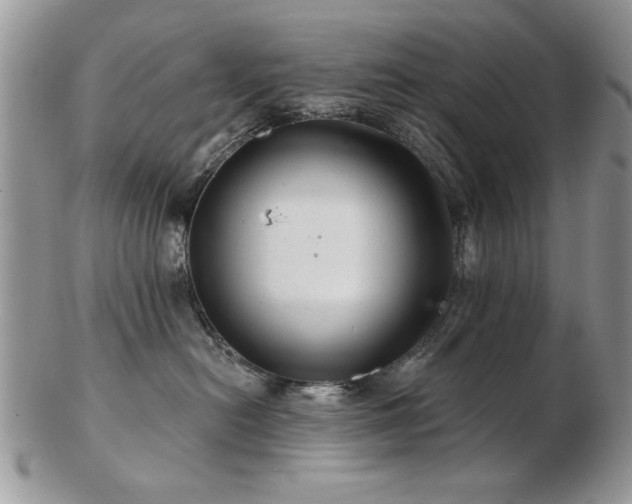 X0000103240478200808281445