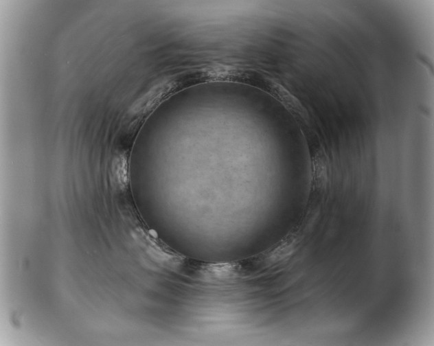 X0000103240479200808281445