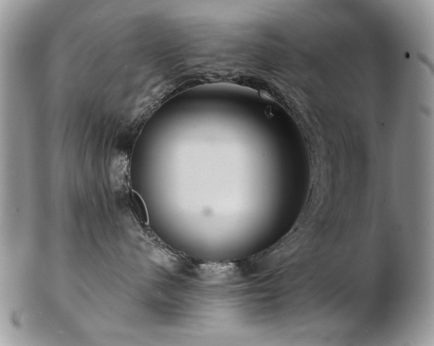 X0000103240480200808281445
