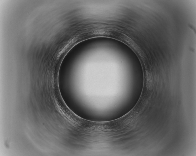 X0000103240482200808281444