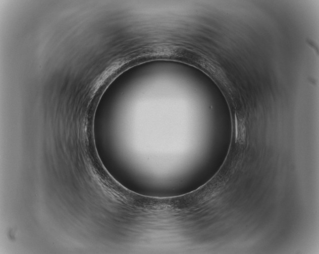 X0000103240483200808281444