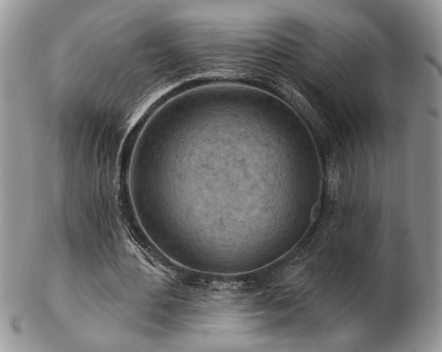 X0000103240484200808281444