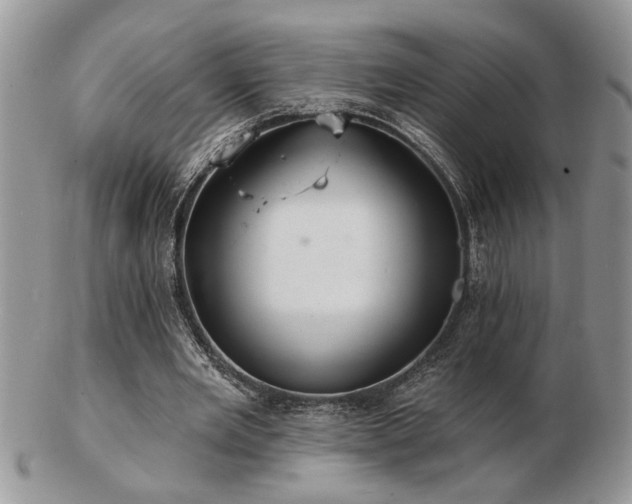 X0000103240485200808281444