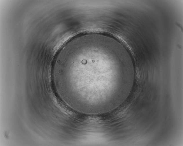X0000103240487200808281444