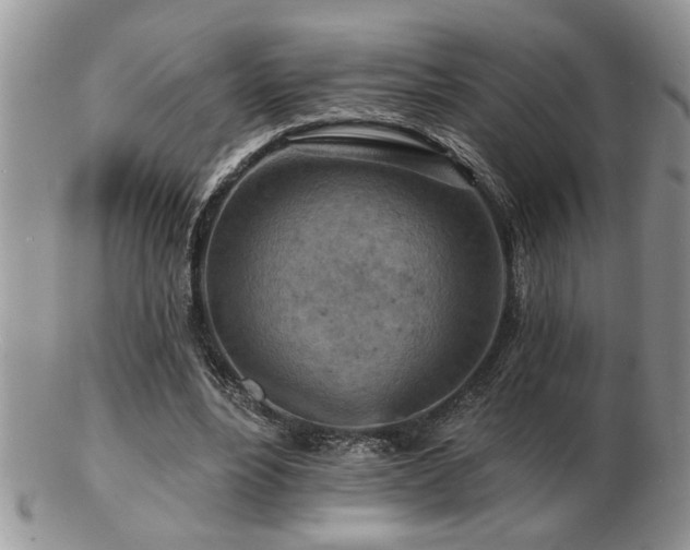 X0000103240488200808281444