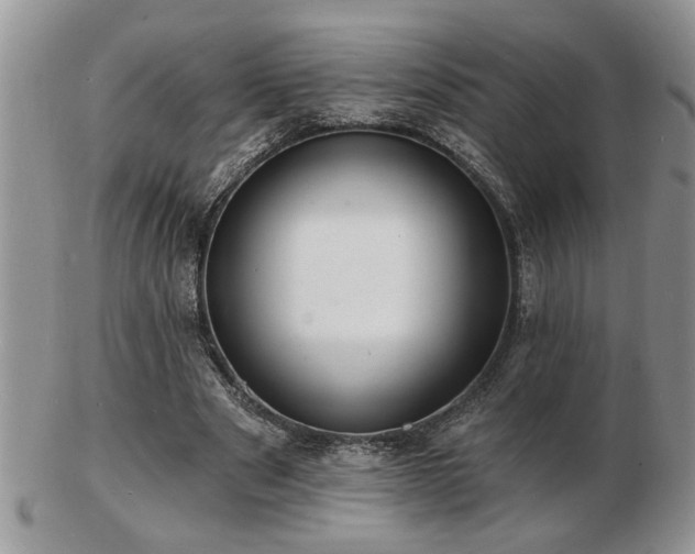 X0000103240489200808281444