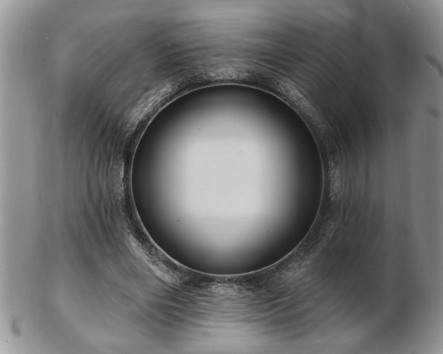 X0000103240490200808281444