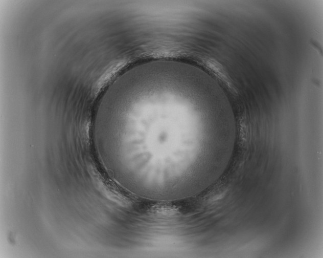 X0000103240491200808281444