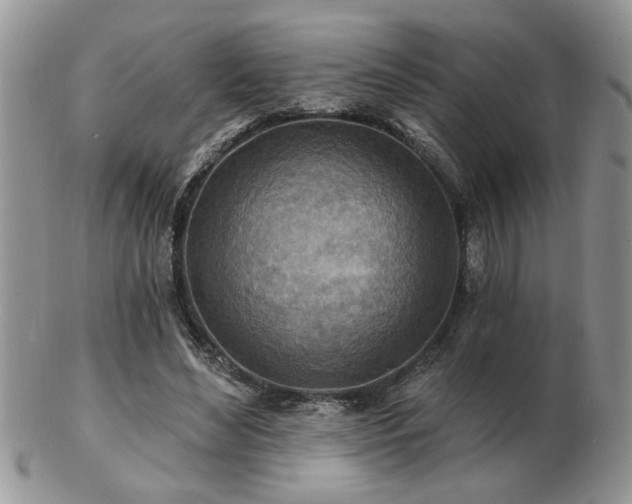 X0000103240492200808281444