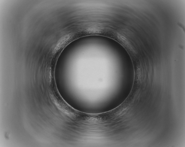 X0000103240494200808281444