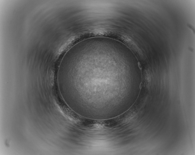 X0000103240496200808281444