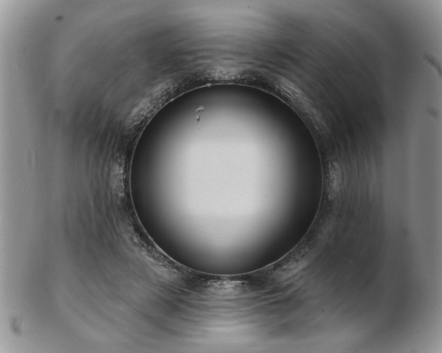 X0000103240497200808281444