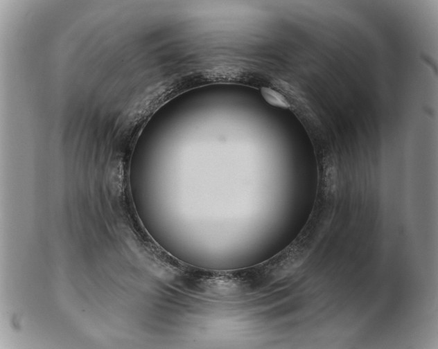 X0000103240498200808281444