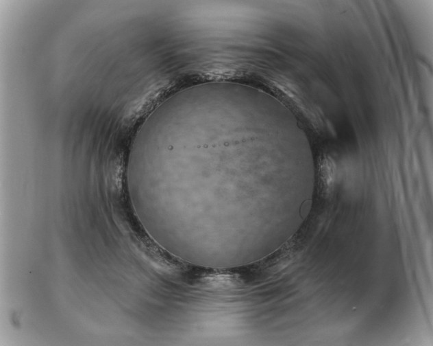 X0000103240499200808281444
