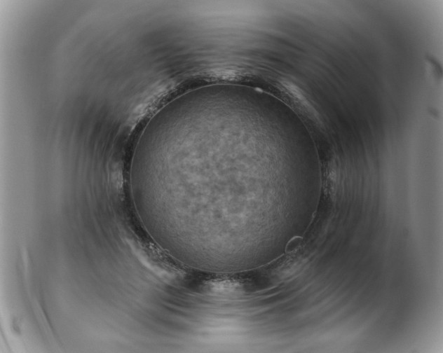 X0000103240500200808281444