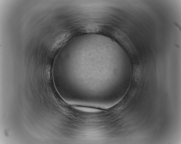 X0000103240501200808281444