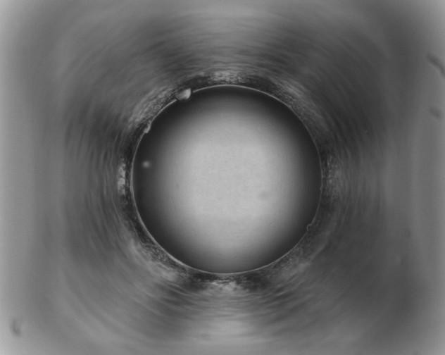 X0000103240502200808281444