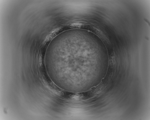 X0000103240504200808281444