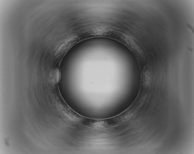 X0000103240505200808281444