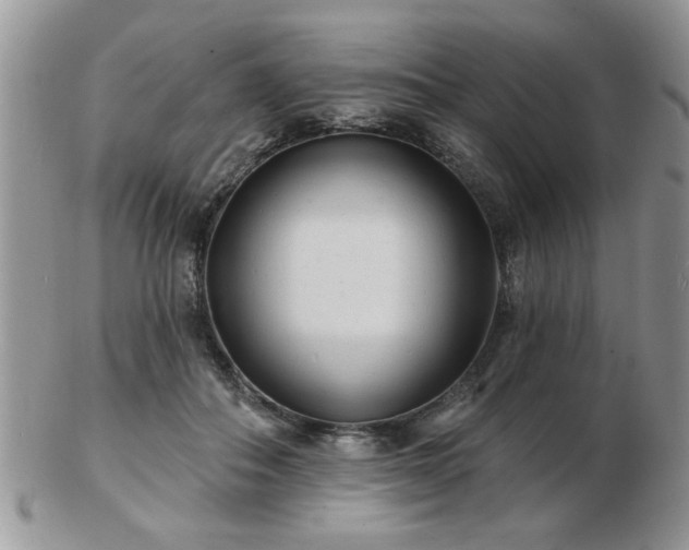 X0000103240506200808281444