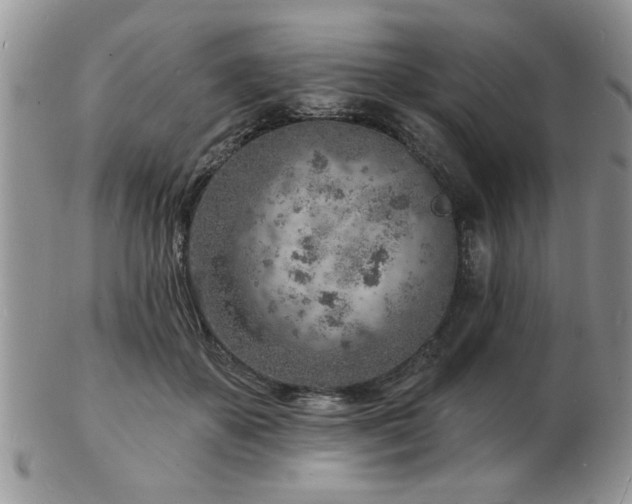 X0000103240507200808281444