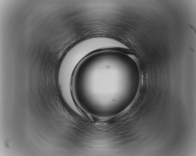X0000103240508200808281444