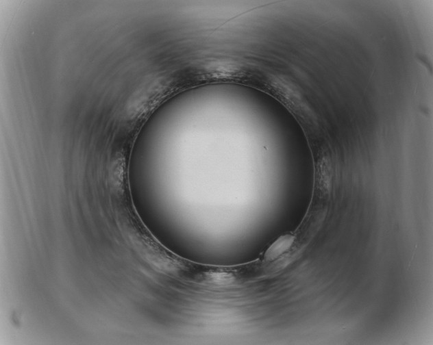 X0000103240509200808281444