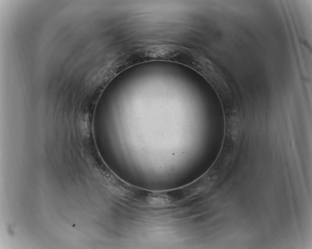 X0000103240510200808281444